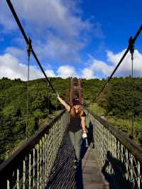 Escape to YangMingShan (QingTiangGang & LengShuiKeng) 🍃🌳
