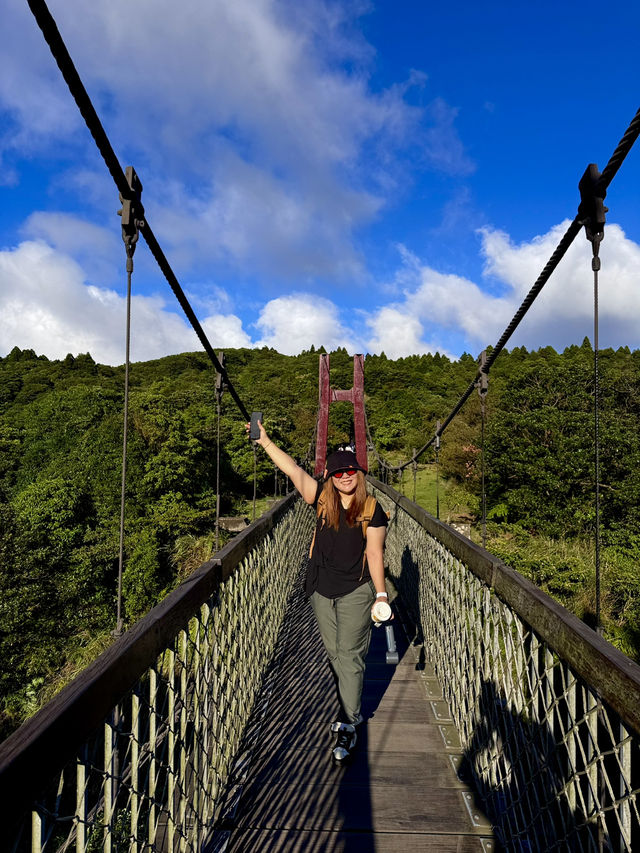 Escape to YangMingShan (QingTiangGang & LengShuiKeng) 🍃🌳
