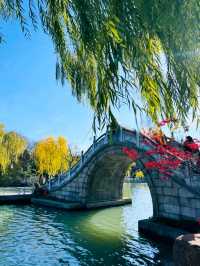 瘦西湖古韻畫卷式散步路線