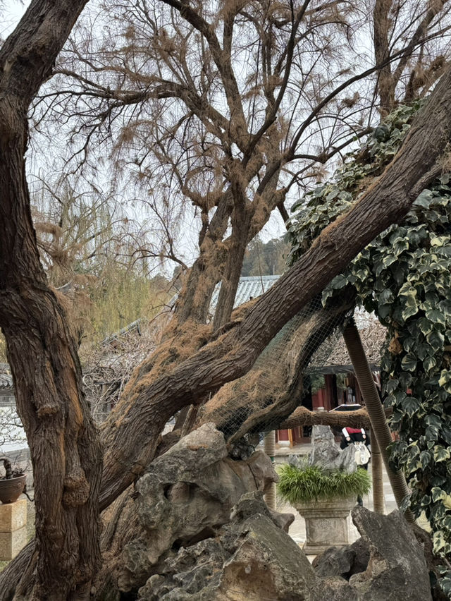 《木府：麗江古城的靈魂殿堂》 