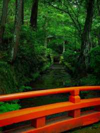 🌿🏯 Reizan-ji Temple – A Green Gem in the Heart of Nara 🌸🌿