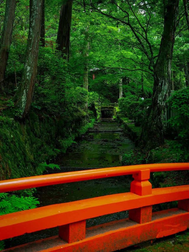 🌿🏯 Reizan-ji Temple – A Green Gem in the Heart of Nara 🌸🌿