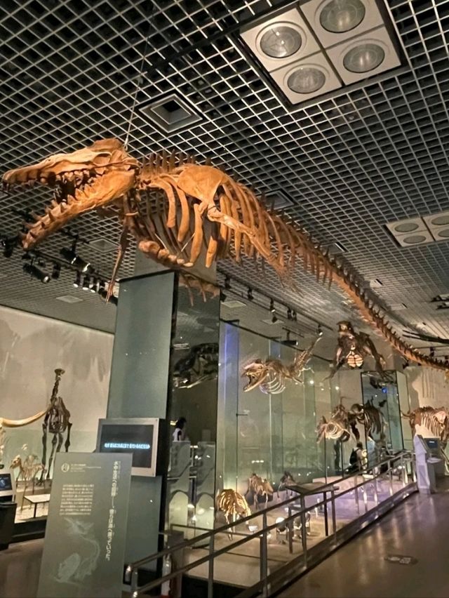 NATIONAL MUSEUM OF NATURE AND SCIENCE.