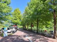 宜蘭望龍埤|親子踏青秘境,湖光山色悠閒遊