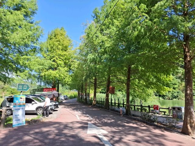 宜蘭望龍埤|親子踏青秘境,湖光山色悠閒遊 宜蘭望龍埤|親子踏青秘境,湖光山色悠閒遊