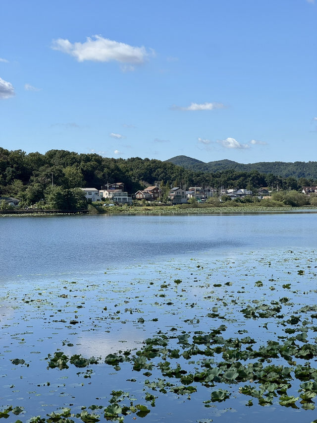 🌿 호수 따라 걷는 평온한 시간, 화성 보통저수지 🌤️