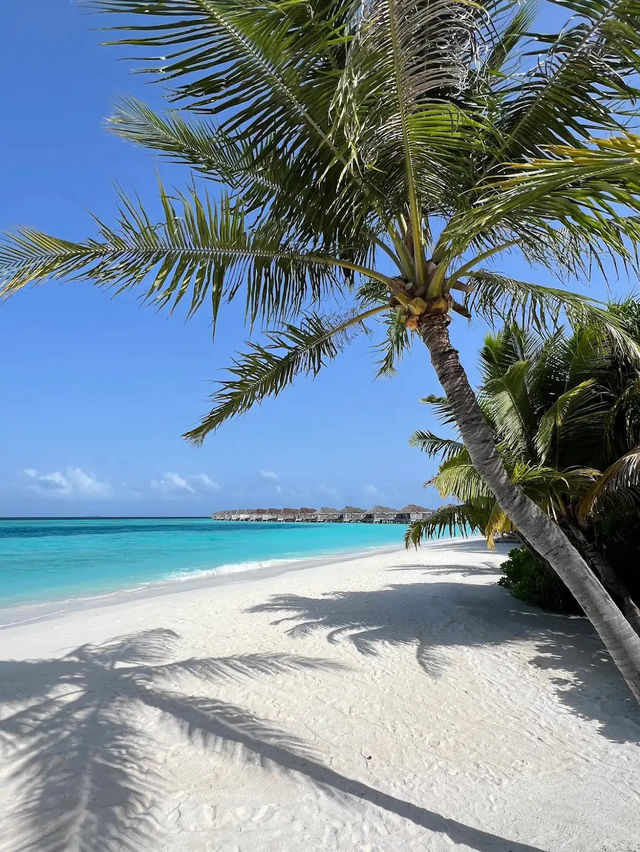 Anantara Kihavah Anantara Kihavah