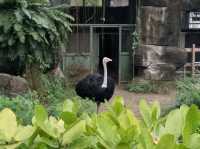 寓教於樂的親子天堂#臺北市立動物園-臺北市文山區