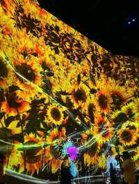 🌌 Step Into the Infinite – The Magic of teamLab Borderless, Tokyo
