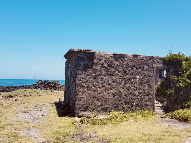 Walking Among Giants: The Coastal Path