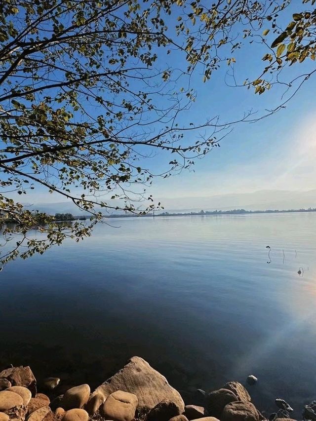 Sunny Lake Escape☀️