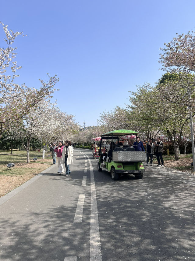 สวนพฤกษศาสตร์ที่สดชื่นที่สุดในหนิงโป 🌳🌸 