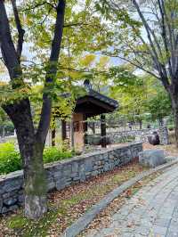 용문산 산책길🌿