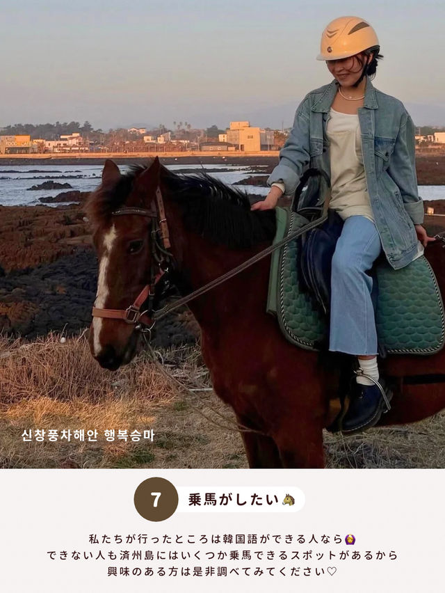 済州島でやりたいこと 7選🏝️