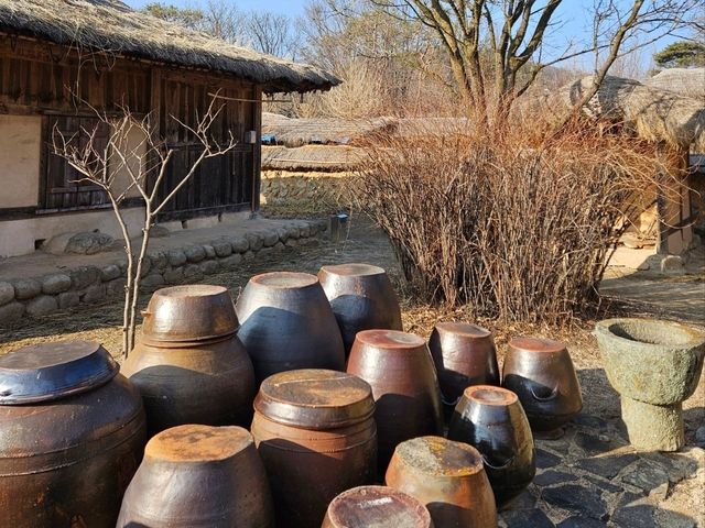 은행잎이 노랗게 물든 영주선비촌🍂가을 산책