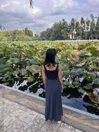Green Lake Serenity🌳