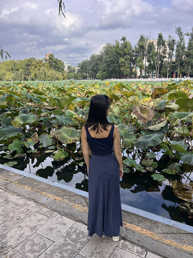 Green Lake Serenity🌳