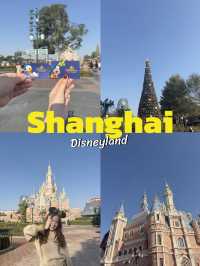 Shanghai Disneyland in December