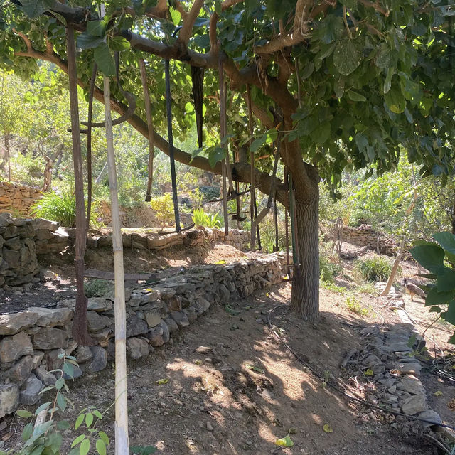 Botanical Garden of Crete