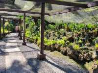 Garden of the Sleeping Giant