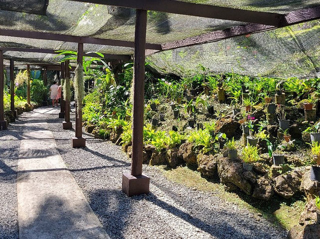 Garden of the Sleeping Giant