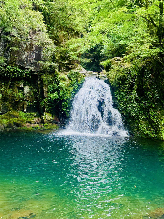 猛暑の中🫠涼を求めるならここ行って✨一日中自然を満喫できる滝のテーマパーク😉 猛暑の中🫠涼を求めるならここ行って✨一日中自然を満喫できる滝のテーマパーク😉