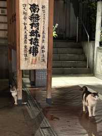 🇯🇵A MUST-EAT IN OSAKA🇯🇵DON’t miss this👍😋