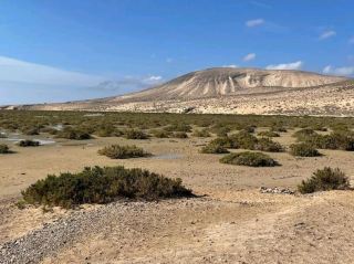 A Quiet Walk into the Heart of a Volcano