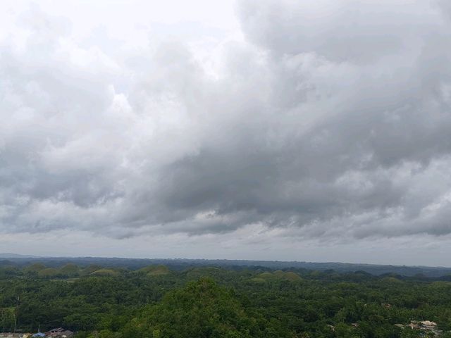 Chocolate Hill Dream🍃 Chocolate Hill Dream🍃