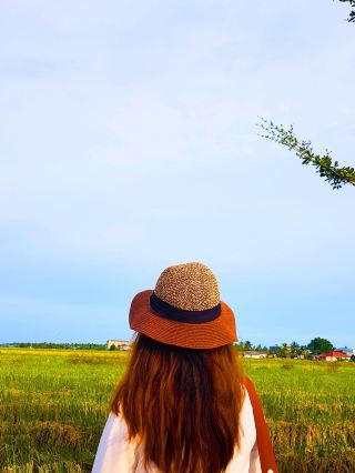 Rice Fields Escape🌾🌟