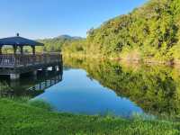 桃園龍潭 三坑自然生態公園 親子遊