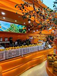 A Super Factory Full of Orange Delight