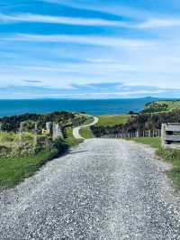 A Scenic Coastal Haven with Calm Waters and Open Horizons