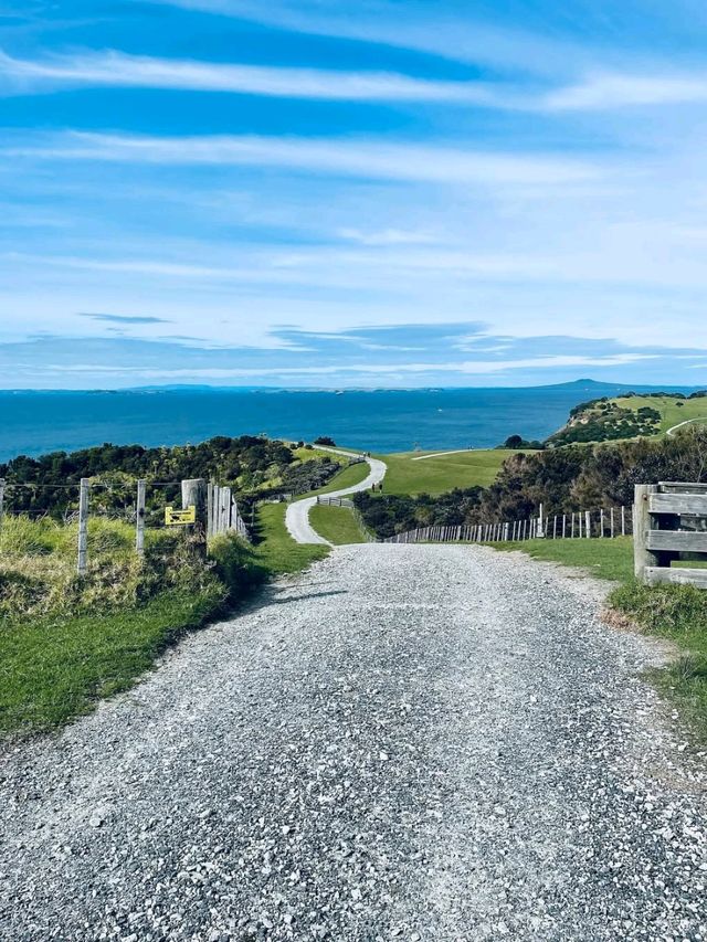 A Scenic Coastal Haven with Calm Waters and Open Horizons A Scenic Coastal Haven with Calm Waters and Open Horizons