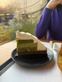 ๐ต ์ ์ฃผ ์ค์ค๋ก ํฐํ์ฐ์ค(ํฐ๋ฎค์ง์)