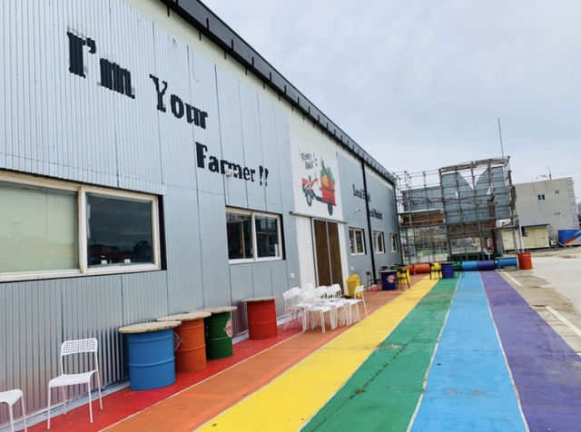 한적함이 매력적인 교동도 여행, 대룡시장 & 해바라기 마을 탐방기 한적함이 매력적인 교동도 여행, 대룡시장 & 해바라기 마을 탐방기