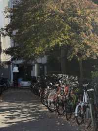 Tokyo’s Ueno Park: Autumn Feels & Family Vibes 🍁✨
