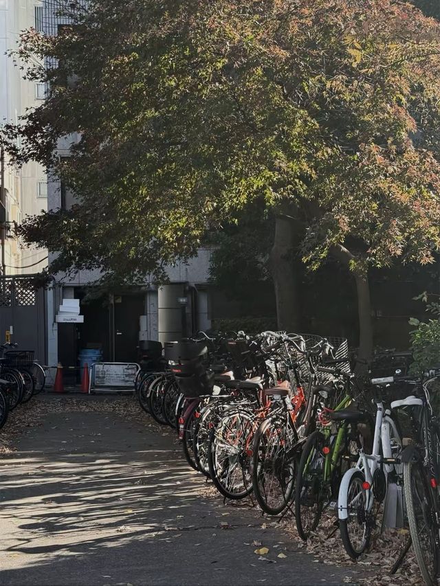 Tokyo’s Ueno Park: Autumn Feels & Family Vibes 🍁✨ Tokyo’s Ueno Park: Autumn Feels & Family Vibes 🍁✨