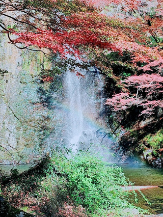 [Osaka] A rainbow appears over Minoh Falls! A special moment you can encounter on a lucky day