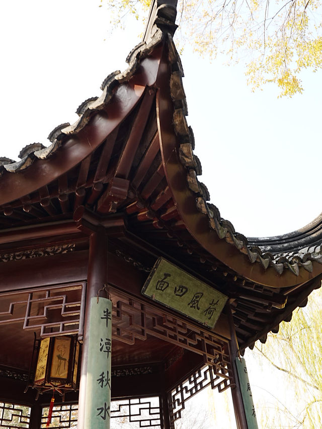 【拙政园】蘇州の秋を象徴するような🍁穏やかで美しい時間でした🍁 【拙政园】蘇州の秋を象徴するような🍁穏やかで美しい時間でした🍁