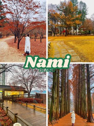 비가 와도 저는 가을 단풍을 즐기러 나미섬에 갈 거예요 🍂
