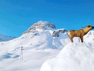 snowy slopes of the Dolomites