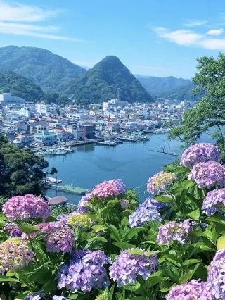 Izu Peninsula 2026: Top Things to Do & Places to Visit | Trip.com