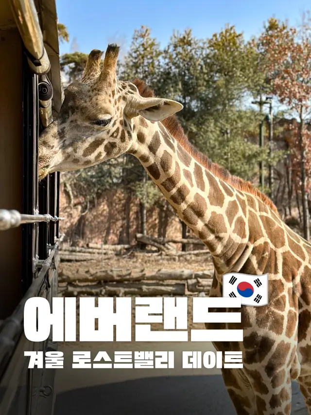A Thrilling Wild Adventure in Yongin: The Ultimate Guide to Everland's Lost Valley