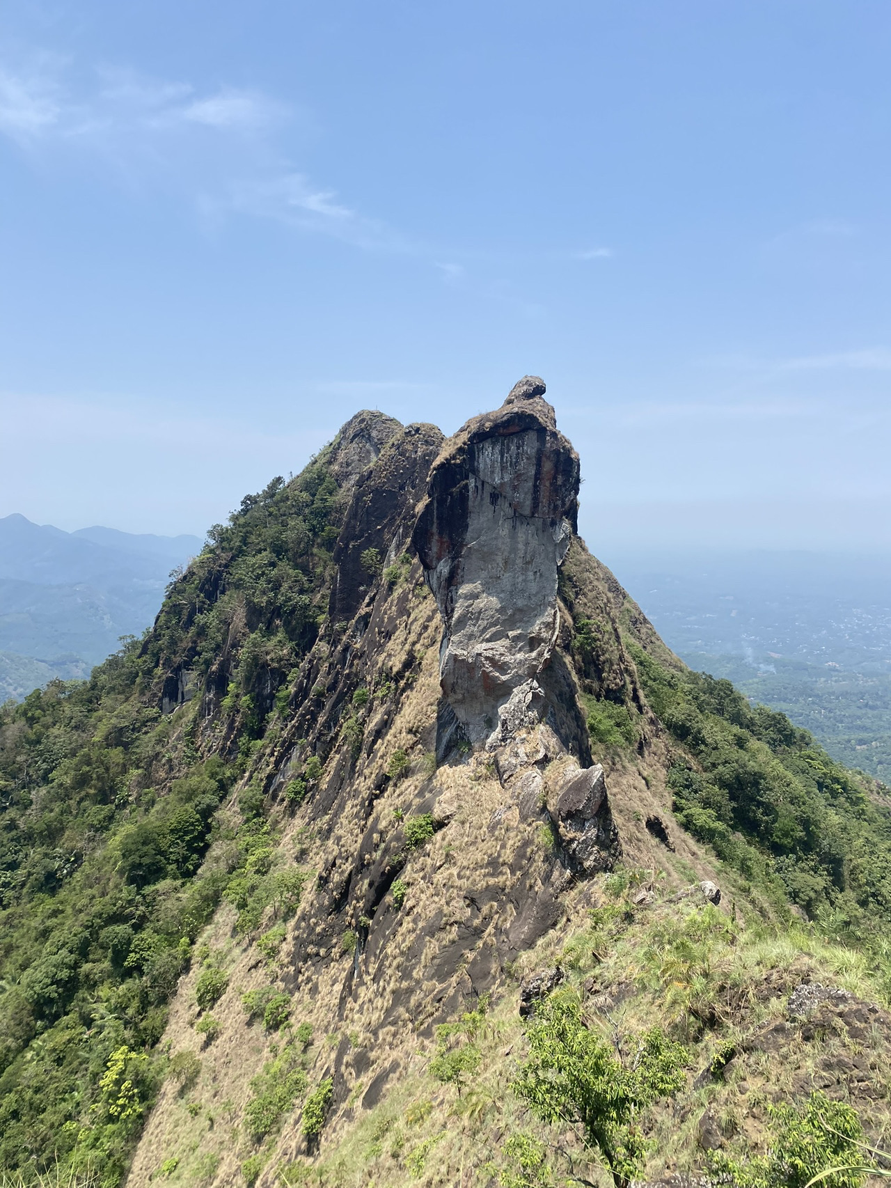 Ernakulam, Kochi, Kerala - Nature Bliss in Kerala 🌿 - 圖 1