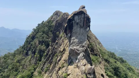 ケララで味わう自然の至福のひととき 🌿 — traveler post in コーチ