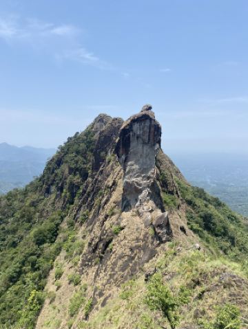 Nature Bliss in Kerala 🌿