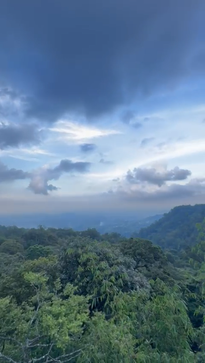 Cameron highland