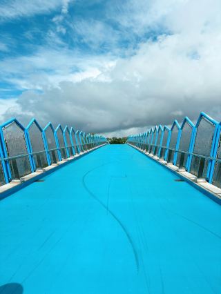 【골드코스트 반나절 투어】 쉐브론 아일랜드(Chevron Island) 산책, 숨겨진 휴양지 천국 발견.