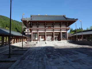 "A Journey Through Fukui: Exploring Zen, the Great Buddha, and a Castle."